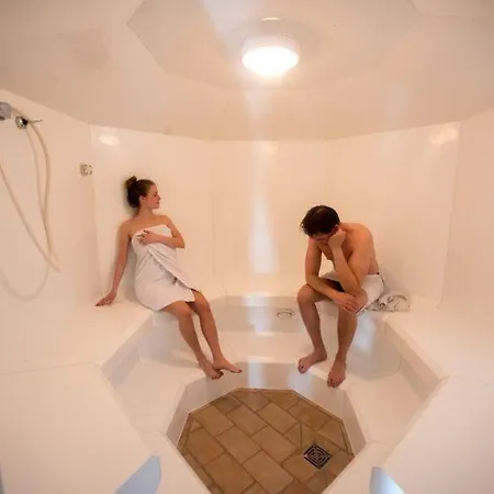 Apartment Terrassenhaus Fichtenwald Im Harz Mit Schwimmbad&sauna *