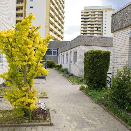 Apartment Terrassenhaus Fichtenwald Im Harz Mit Schwimmbad&sauna