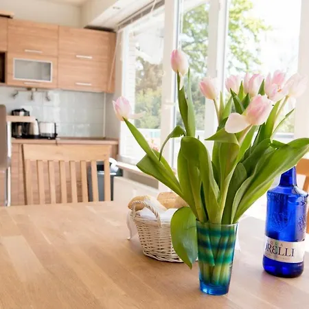 Apartment Terrassenhaus Fichtenwald Im Harz Mit Schwimmbad&sauna *