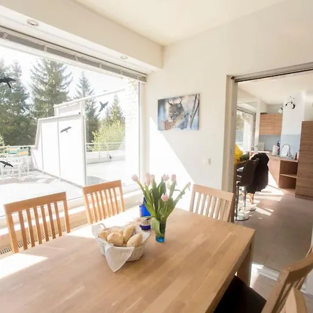 Terrassenhaus Fichtenwald Im Harz Mit Schwimmbad&sauna * Hohegeiß